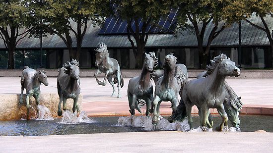 Mustangs of Las Colinas, Texas